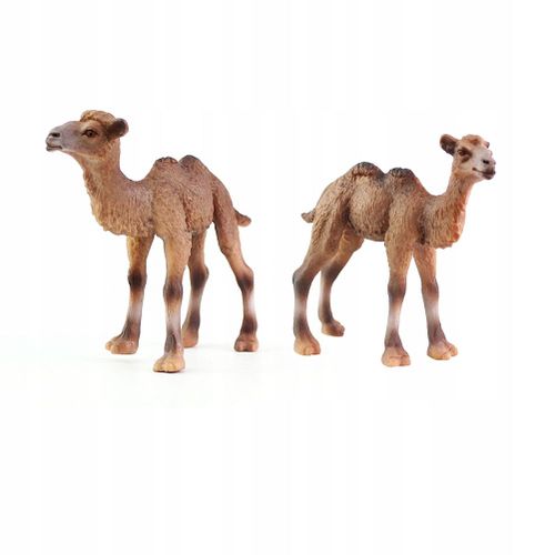 MINIATURES ANIMAUX DU DÉSERT FIGURINES JOUET SOLIDE JOUETS POUR ENFANTS
