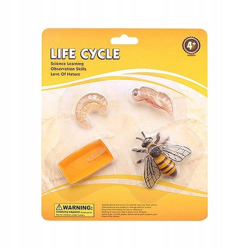 Jouet Abeille Cycle De Vie Cycle De Croissance De La Vie Animale Figurine D'action Jeux Garderie