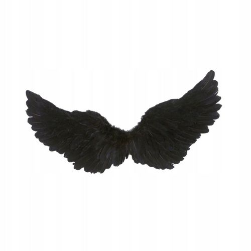 Ailes De Plumes Pour Déguisement D'halloween
