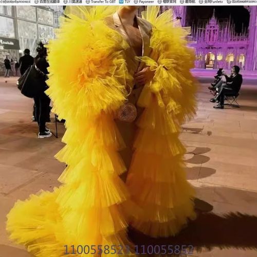 Robe Saree À Manches Longues Robe De Gâteau Poncho Multicouche Manteau Style Shawl Diverses Couleurs Peuvent Être Des Robes De Bal De Fin D'année