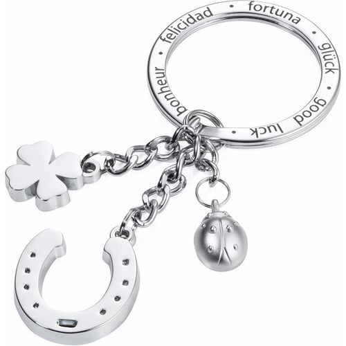 Porte-Clés Fer À Cheval,Trèfle,Coccinelle Porte-Bonheur-Émail Fonte De Métal-Chromé-Argenté