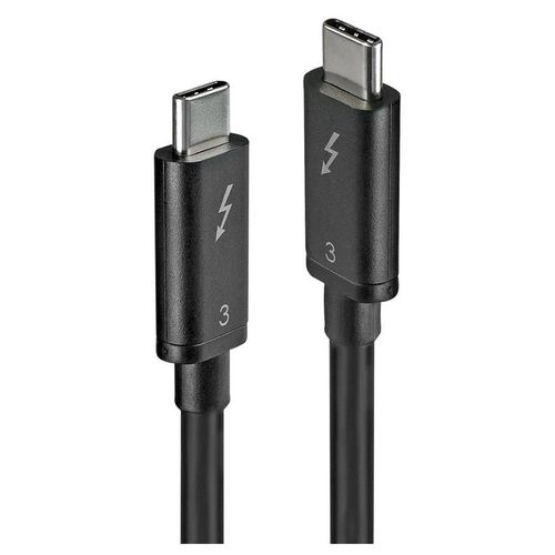 Lindy - Câble Thunderbolt - 24 pin USB-C (M) pour 24 pin USB-C (M) - USB 3.1 Gen 2 / Thunderbolt 3 / DisplayPort 1.2 - 50 cm - connecteurs réversibles, support 4K - noir