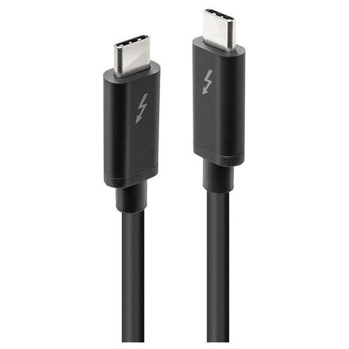 Lindy - Câble Thunderbolt - 24 pin USB-C (M) pour 24 pin USB-C (M) - USB 3.1 Gen 2 / Thunderbolt 3 / DisplayPort 1.2 - 2 m - connecteurs réversibles, support 4K - noir