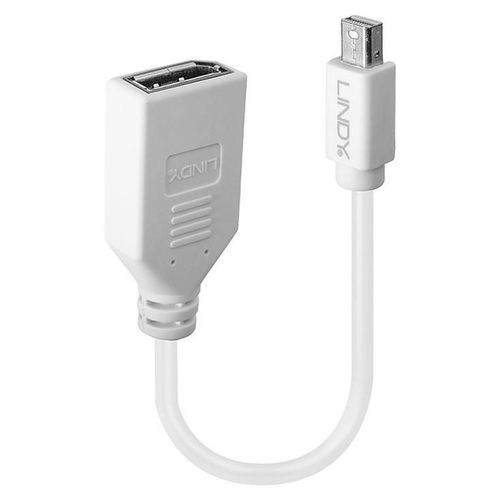 Lindy - Adaptateur DisplayPort - Mini DisplayPort (M) pour DisplayPort (F) - 15 cm - blanc