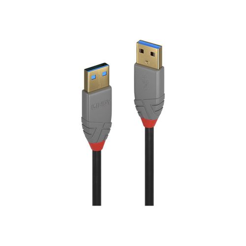 Lindy Anthra Line - Câble USB - USB type A (M) pour USB type A (M) - USB 3.0 - 1 m