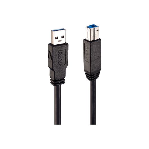 Lindy - Câble USB - USB type A (M) pour USB Type B (M) - USB 3.0 - 10 m - actif