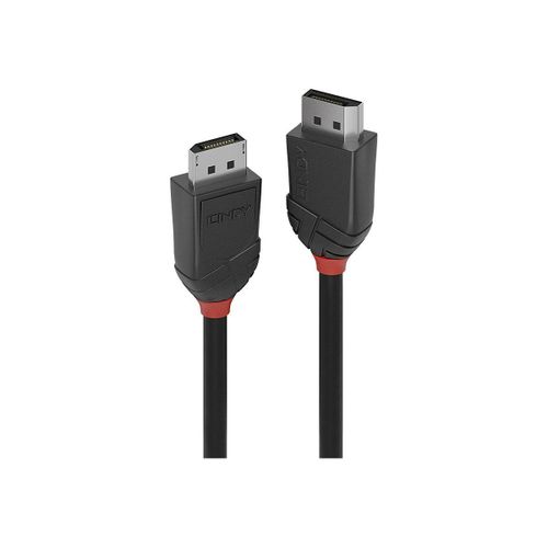 Lindy - Câble DisplayPort - DisplayPort (M) pour DisplayPort (M) - DisplayPort 1.2 - 1.5 m - support 4K - noir
