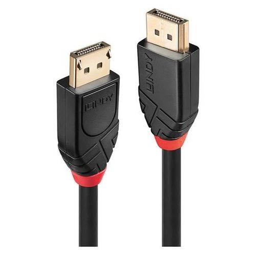 Lindy - Câble DisplayPort - DisplayPort (M) pour DisplayPort (M) - DisplayPort 1.2 - 10 m - support 4K, actif, rond - noir