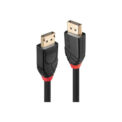 Lindy - Câble DisplayPort - DisplayPort (M) pour DisplayPort (M) - DisplayPort 1.2 - 20 m - support 4K, actif, rond - noir