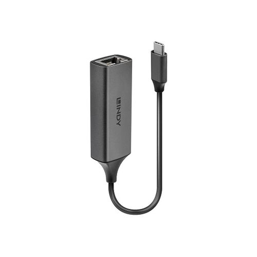 Lindy USB 3.1 Type C Gigabit Ethernet Converter - Adaptateur réseau - USB-C 3.1 - Gigabit Ethernet x 1 - argent