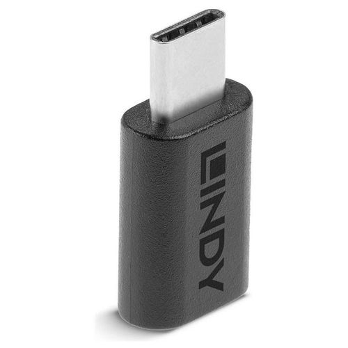 Lindy - Adaptateur USB - 24 pin USB-C (F) pour 24 pin USB-C (M) - USB 3.2 Gen 2 - noir