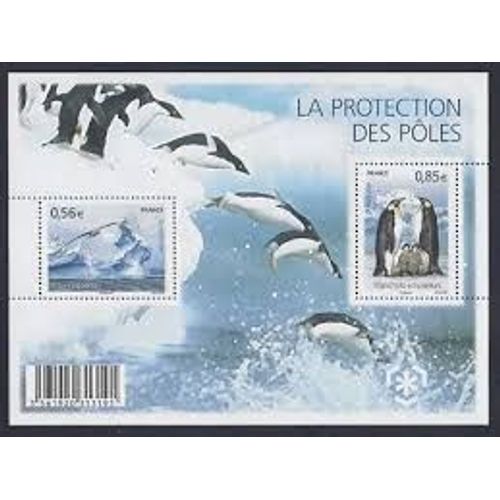 Protection Des Zones Polaires Et Des Glaciers : Albatros, Glaciers, Manchots Empereurs Feuillet 4350 Année 2009 N° 4350 4351 Yvert Et Tellier Luxe