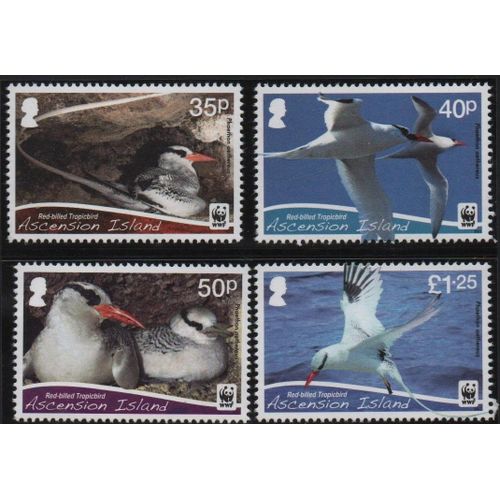 Ile De L'ascension Timbres Oiseaux 2011