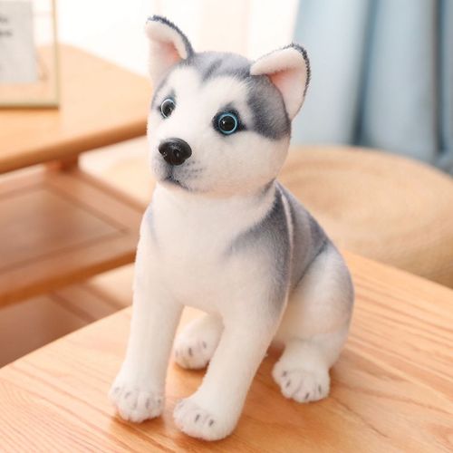 Poupée Husky Erha Chien Poupée Peluche Machine À Saisir Poupée Husky Assis - 30 Cm