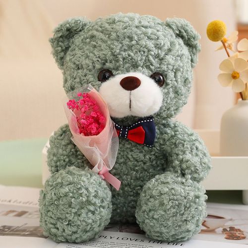 Ours en peluche rose de dessin animé pour filles, cadeau de Saint-Valentin, oreiller ours, poupée femme Vert foncé - 25 cm (0,235 kg)