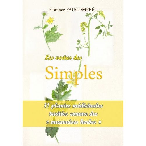 Les Vertus Des Simples - 10 Plantes Médicinales Traitées Comme De "Mauvaises Herbes