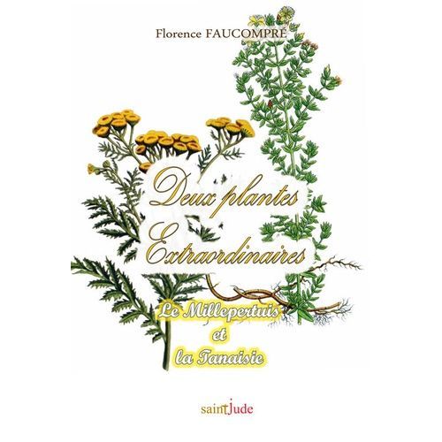 Deux Plantes Extraordinaires - Le Millepertuis Et La Tanaisie