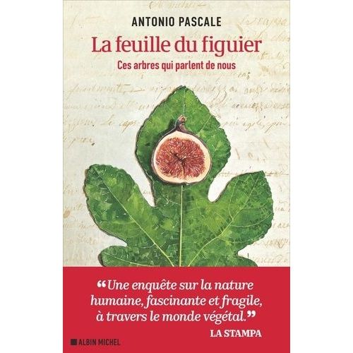 La Feuille Du Figuier - Ces Arbres Qui Parlent De Nous