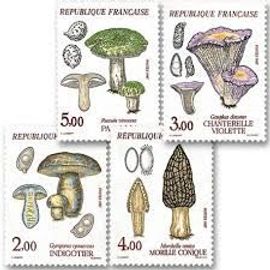 Flore Et Faune De France (5) Champignons Série Complète Année 1987 N° 2488 2489 2490 2491 Yvert Et Tellier Luxe