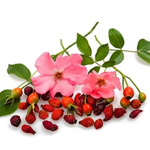 Huile De Pépins De Rose Musquée Bio 100 Ml 