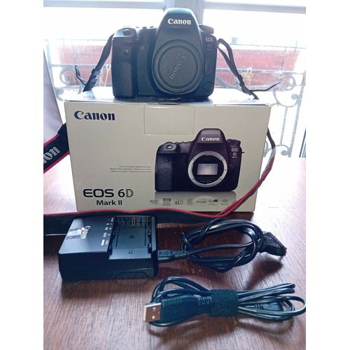 Canon EOS 6D Mark 2 Reflex 26.2 Mpix + Grip + Batteries