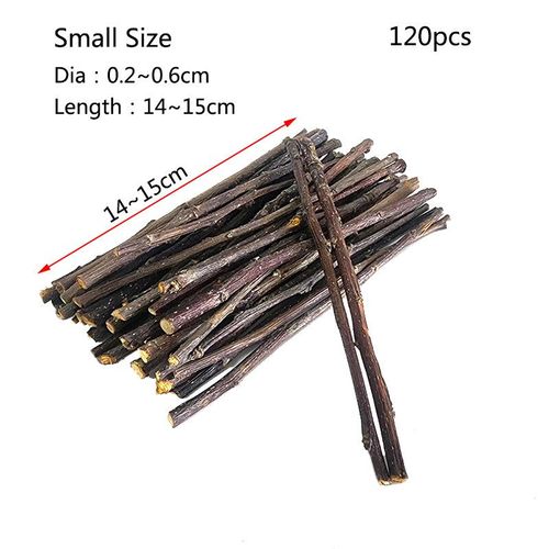Lot De 20/40/80/100 Pièces De Broyage Des Dents De Hamster,Lapin,Pommier,Minorganisateur,Jouets En Pierre Molaire Pour Alberchilla,Accessoires Pour Animaux De Compagnie - Type Small 120pcs 