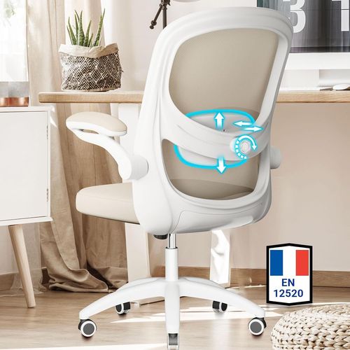 Chaise Bureau Avec Support Lombaire Bionique 4d,Fauteuil De Bureau Ergonomique Confortable Avec Accoudoirs Rabattables À 100°,Réglable En Hauteur,Maille,Normes En12520,Gris Beige