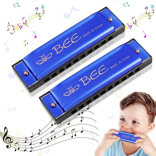 Lot De 2 Harmonica Diatonique Pour Enfants- Harmonica Diatonique À 10 Trous- Harmonicamajor Blues- Harmonica En Domajeur Pour Les Débutants(Bleu)