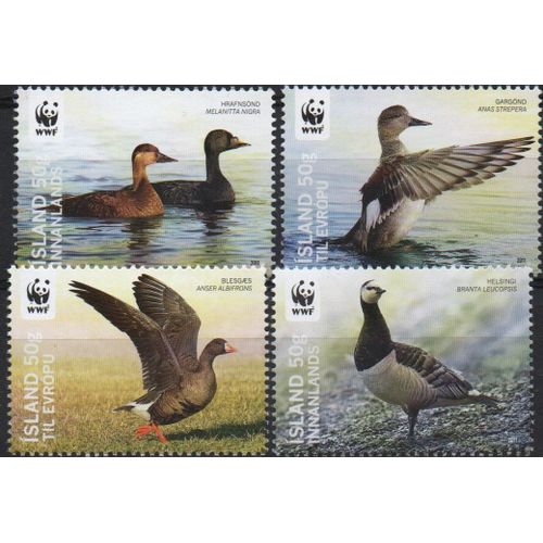 Islande Timbres Les Canards Et Oies 2011