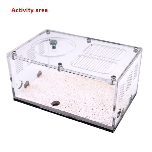 Abreuvoir De Colonie En Acrylique Pour Ferme À Fourmis,Épissage Mf,Nid De Fourmis,Contrôle De La Température,Maison D'insectes En Béton,174 Accessoires - Type Activity Area