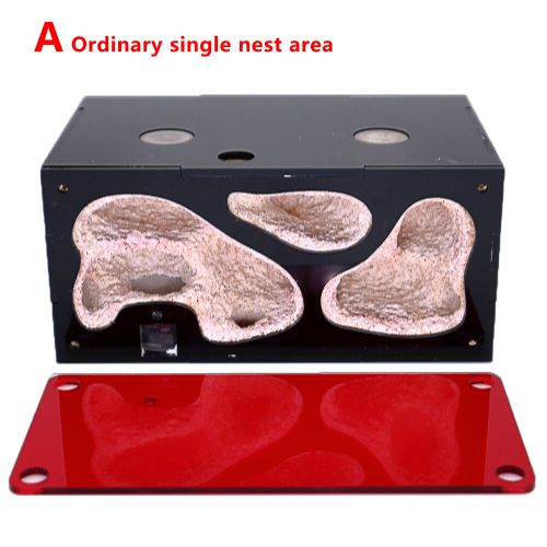 Abreuvoir De Colonie En Acrylique Pour Ferme À Fourmis,Épissage Mf,Nid De Fourmis,Contrôle De La Température,Maison D'insectes En Béton,174 Accessoires - Type Ordinary Nest Area A