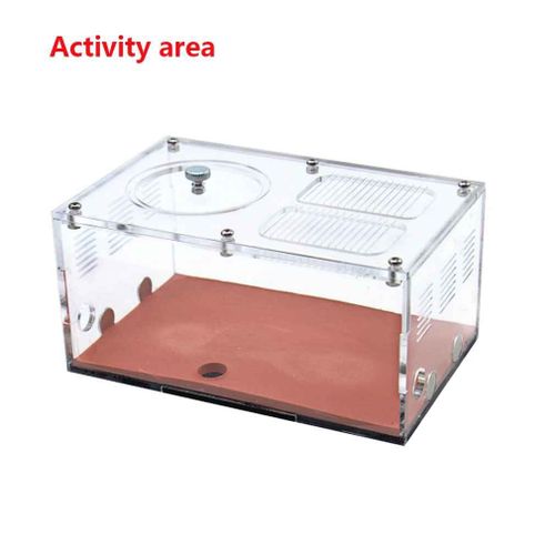 Ferme De Fourmis En Acrylique Avec Abreuvoir,Contrôle De La Température,Nid De Fourmi En Béton,Expansion Infinie,Maison D'insecte,Abreuvoir De Colonie,Kit D'antill - Type Activity Area