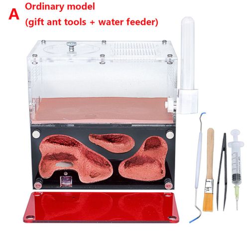 Nid De Fourmis En Acrylique Contrôle De Température De La Ferme,Maison De Colonie D'insectes,Kit De Fourmilière Avec Abreuvoir,Expansion Infinie,Accessoire En Béton - Type Normal Suit A