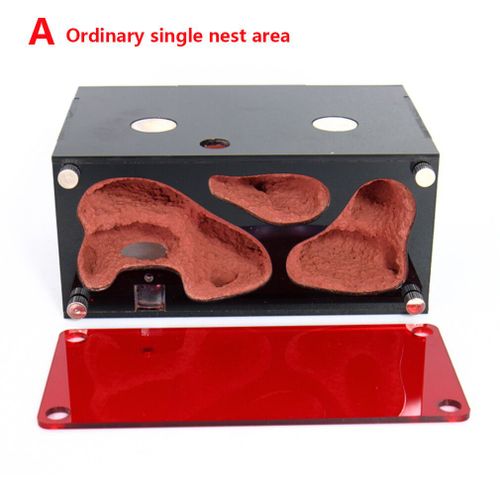 Nid De Fourmis En Acrylique Contrôle De Température De La Ferme,Maison De Colonie D'insectes,Kit De Fourmilière Avec Abreuvoir,Expansion Infinie,Accessoire En Béton - Type Ordinary Nest Area A