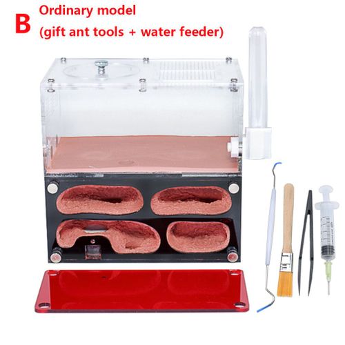 Nid De Fourmis En Acrylique Contrôle De Température De La Ferme,Maison De Colonie D'insectes,Kit De Fourmilière Avec Abreuvoir,Expansion Infinie,Accessoire En Béton - Type Normal Suit B