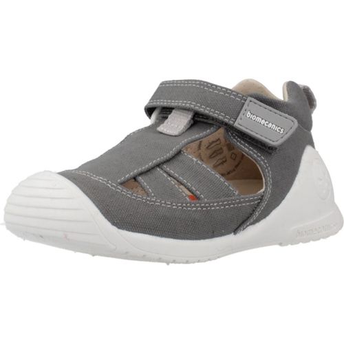 Biomecanics 252188b Colour Gris