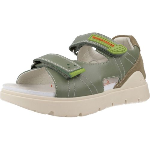 Biomecanics 252229b Colour Vert
