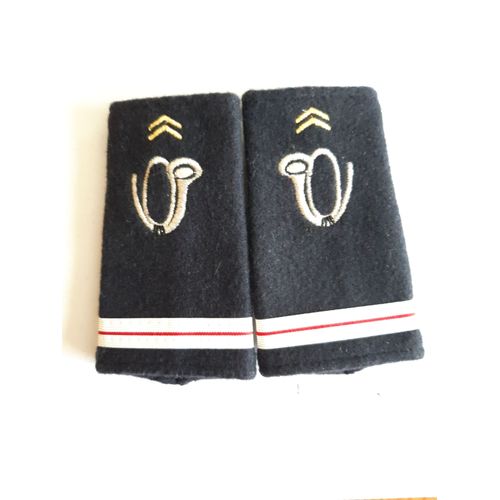 Fourreaux Neuf Grade Adjudant-Chef Chasseurs Alpins