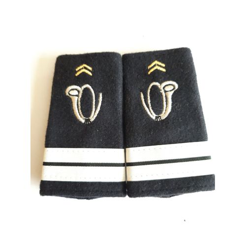 Fourreaux Neuf Grade Lieutenant Chasseurs Alpins