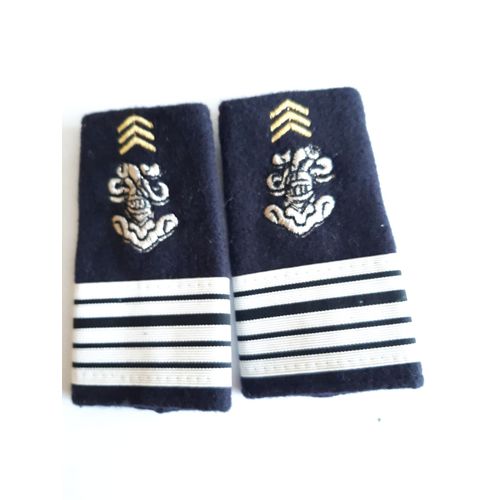 Fourreaux Neuf Grade Lieutenant-Colonel 1er Régiment Chasseurs D'afrique