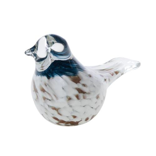 Oiseau Joel sulfure blanc et bleu