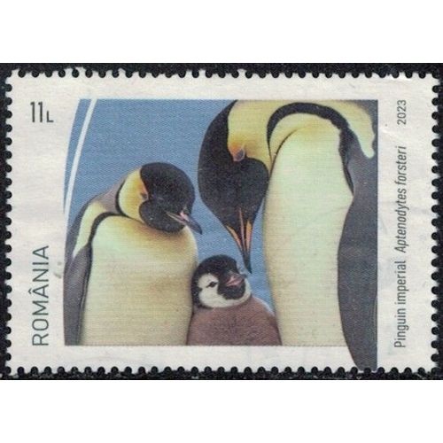 Roumanie 2023 Oblitéré Used Animal Oiseau Aptenodytes Forsteri Manchot Empereur Y&t Ro 7003 Su