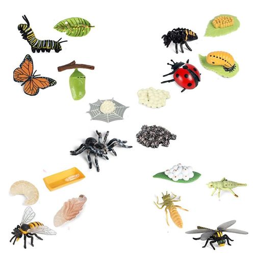 Figurines De Cycle De Vie De Papillon Araign¿¿E Abeille Libellule, Figurines D'insectes En Plastique Jouet, Projet Scolaire Pour Les Enfants