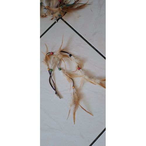 Western Pince Plumes Pour Chepau
