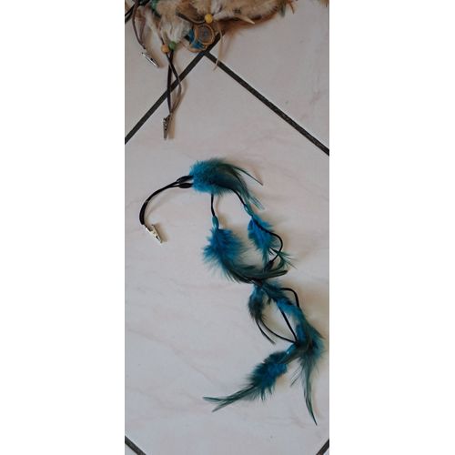 Western - Country Pince Plumes Pour Decor