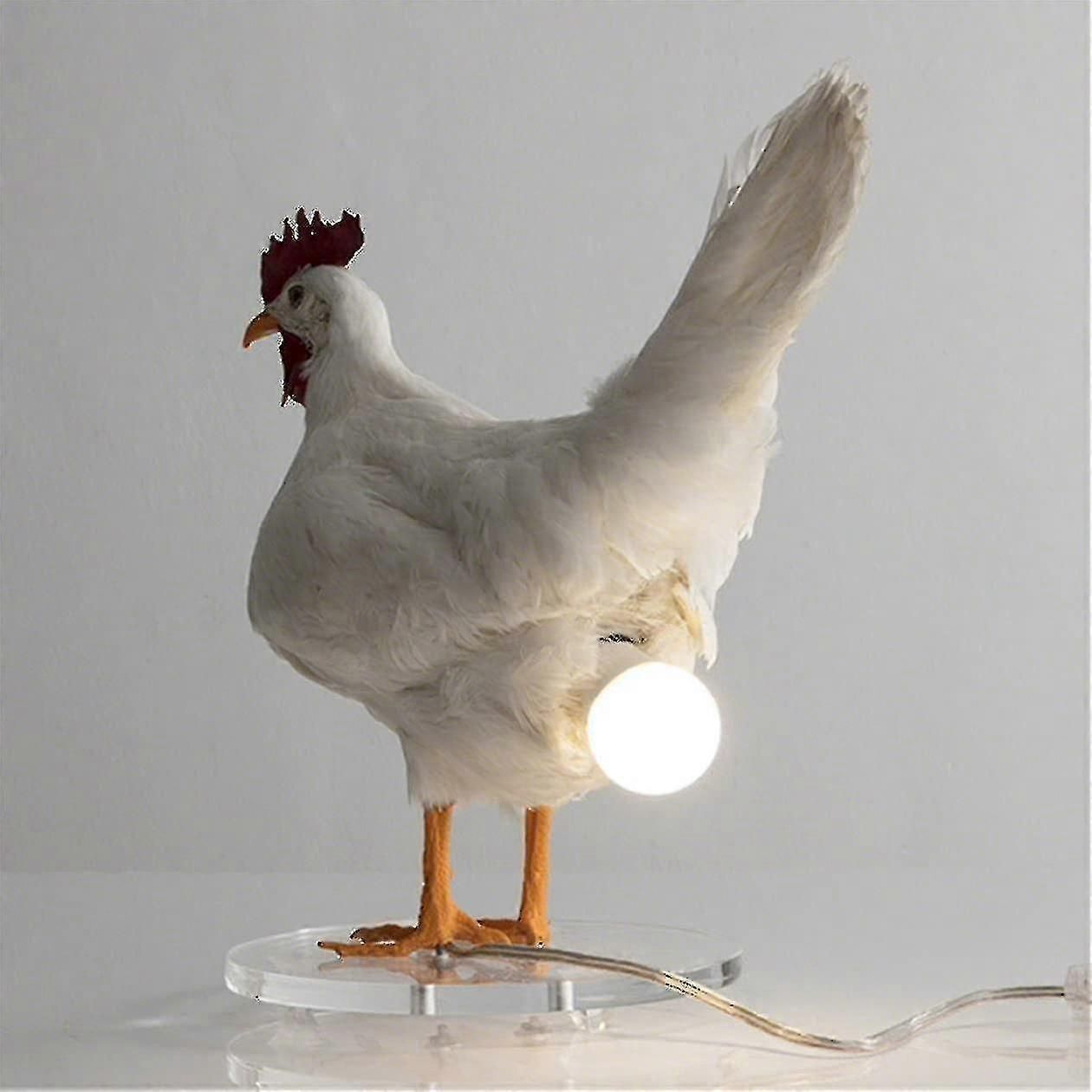 Poulet Led Lumières Oeufs Nuit Lumière Taxidermie Poule Oeuf Lampe ...