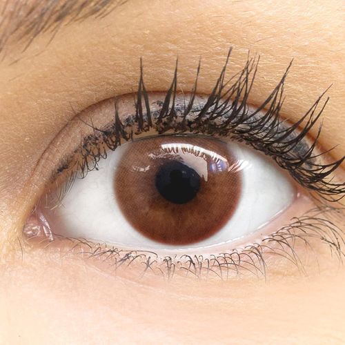 Lentilles De Couleur Marron Naturelles Colorées Très Haute Opacité Venedig Milky Brown + Étuis À Lentilles De Contact I 1 Paire(2 Pièces) I 90 Jours I Sans Correction I 0,00 Dioptries 