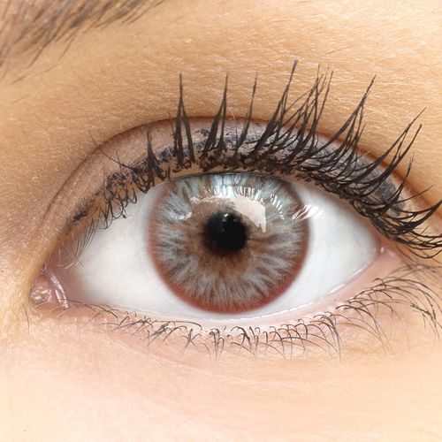 Lentilles De Couleur Marron Naturelles Colorées Très Haute Opacité Catania Brown + Étuis À Lentilles De Contact-1 Paire(2 Pièces)-90 Jours-Sans Correction-0,00 Dioptries