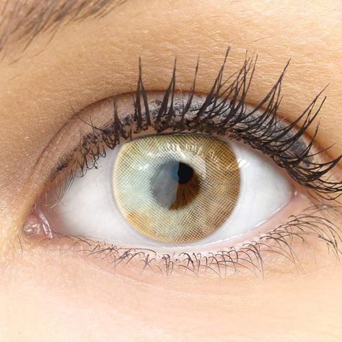 Lentilles De Couleur Marron Naturelles Colorées Très Haute Opacité Valencia Orange + Étuis À Lentilles De Contact | 1 Paire(2 Pièces) | Dia 14,20 | Sans Correction | 0,00 Dioptries