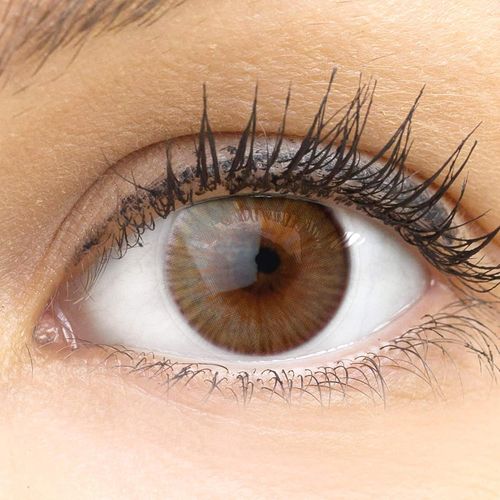 Lentilles De Couleur Marron Naturelles Colorées Très Haute Opacité Verona Brown + Étuis À Lentilles De Contact | 1 Paire(2 Pièces) | Dia 14,20 | Sans Correction | 0,00 Dioptries